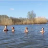 fitdip (1) FIT en DIP